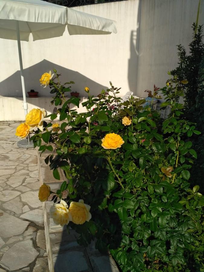 Villa Maria Apartments Kamenari Zewnętrze zdjęcie
